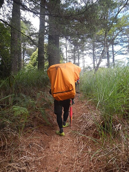 雪霸國家公園報復性登山，單日往返登山客大增。圖／擷自臉書社團「雪霸國家公園登山資訊分享站」