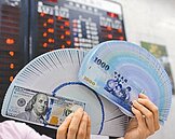 台幣真的強　央行穩匯率陷苦戰