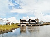 台西海口生活館　恐變蚊子館