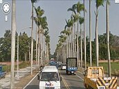 椰林大道將消失？　南市府：優先考慮地方意見