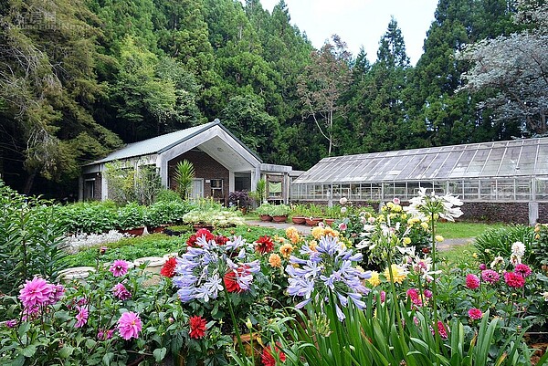 臺大山地實驗農場（梅峰農場）１