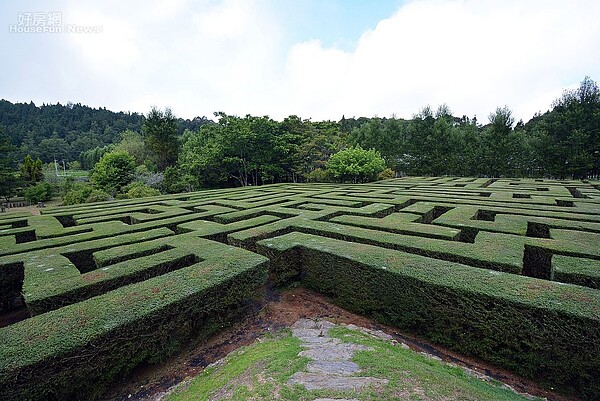 臺大山地實驗農場（梅峰農場）２