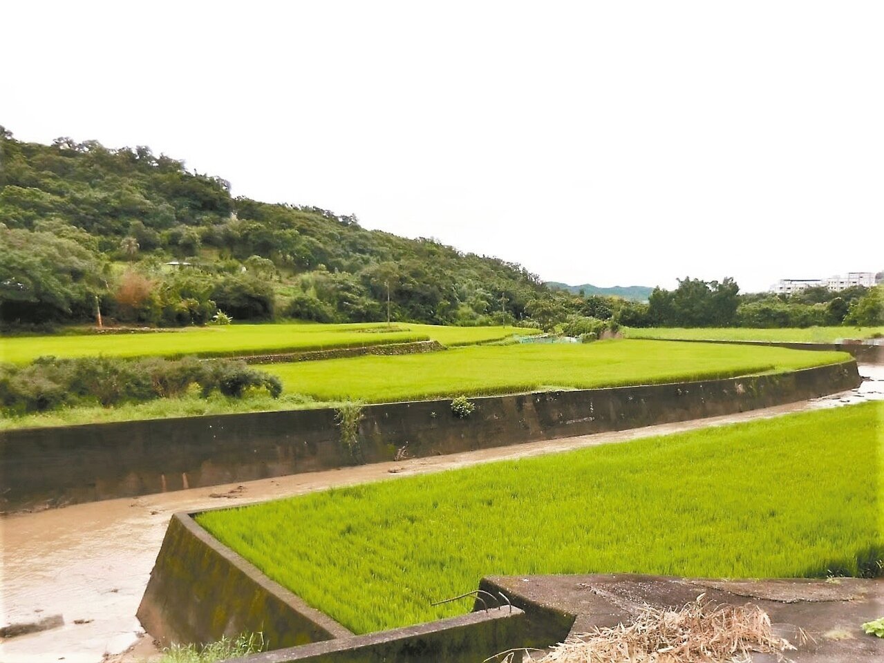 新竹縣山坡地範圍檢討變更計畫中,山坡地範圍有416.68公頃。 記者陳斯穎/攝影