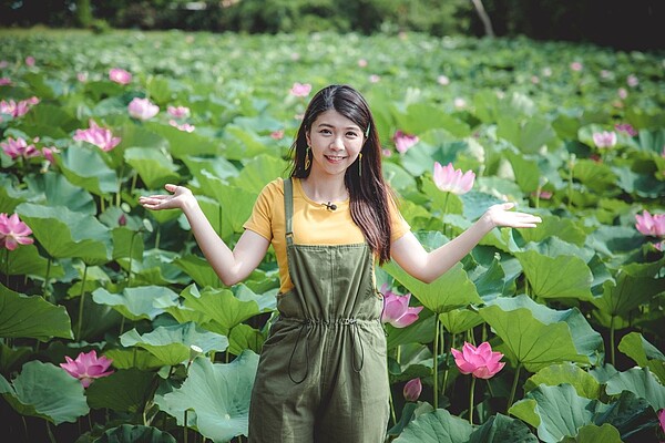 桃園市蓮花季蓮花盛開爭豔美麗，網紅介紹戶外旅遊景點吸睛，蓮花季人潮爆棚。圖／桃園市農業局提供