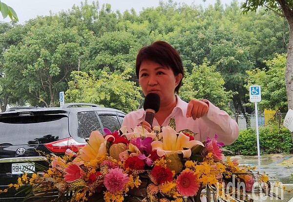台中市長盧秀燕宣布將啟動專案加強防疫措施。聯合報記者黃寅/攝影