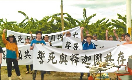台東市康樂地區數10名釋迦農3日齊聚抗議，誓言與釋迦園共存亡。（莊哲權攝）