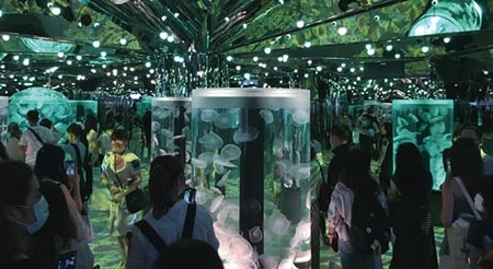 日本新都會型水生公園Xpark中的遇見水母展區。圖／傅秉祥