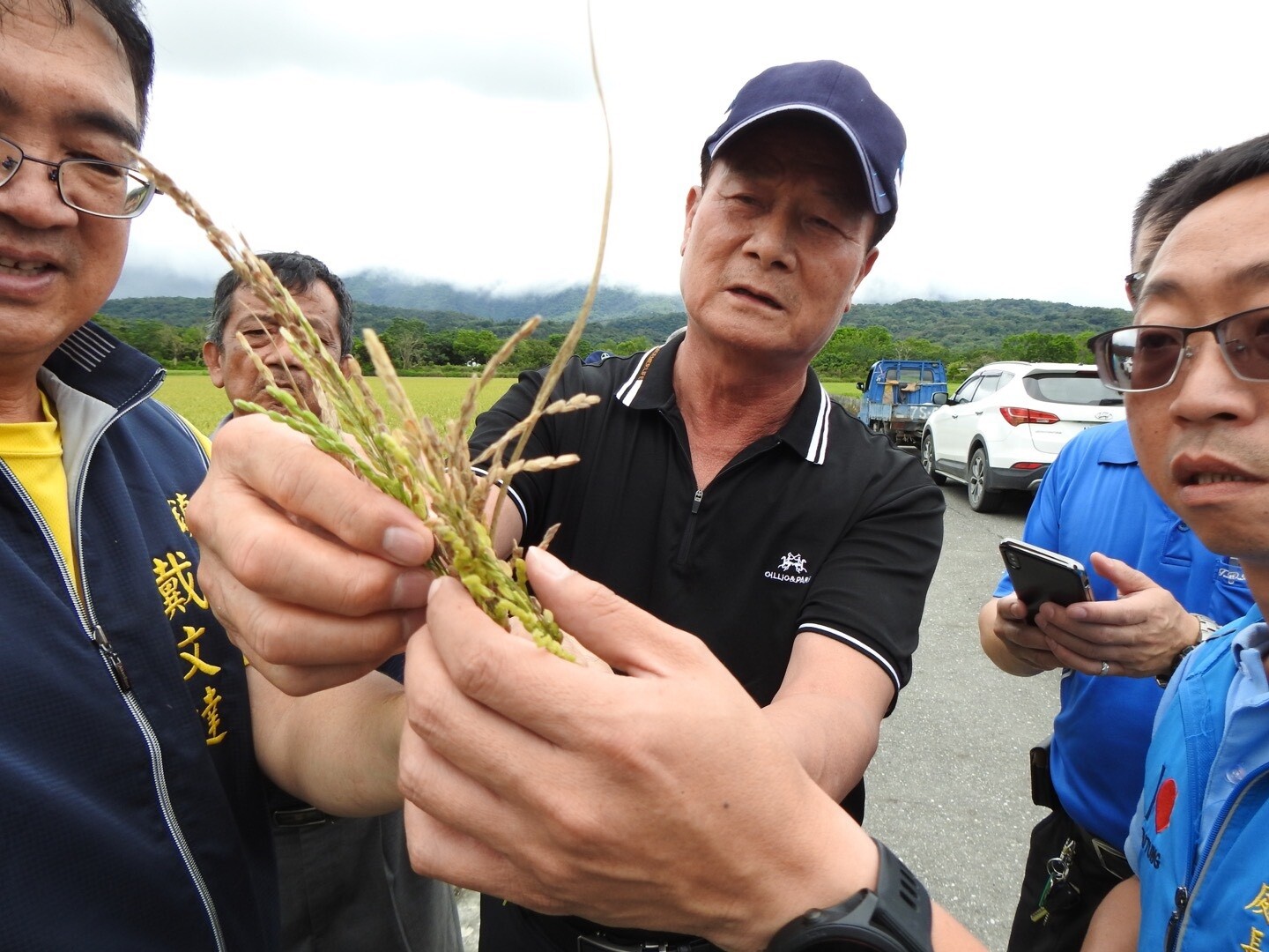 縣府實勘台東縱谷米倉，發現一期稻作空包彈情況嚴重。圖／台東縣農業處提供