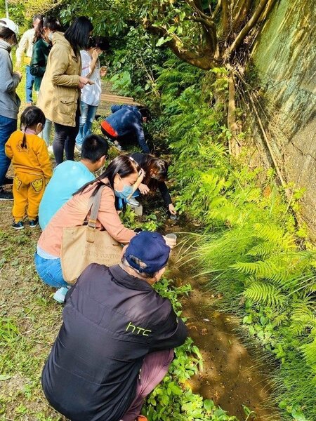 龜山區龍壽社區居民與龍華科大學生，一同野放螢火蟲幼蟲回到野溪中。圖／龍華科大提供