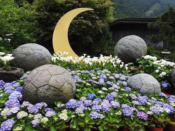 竹子湖種植的繡球花品種多樣。圖/北市產業發展局提供