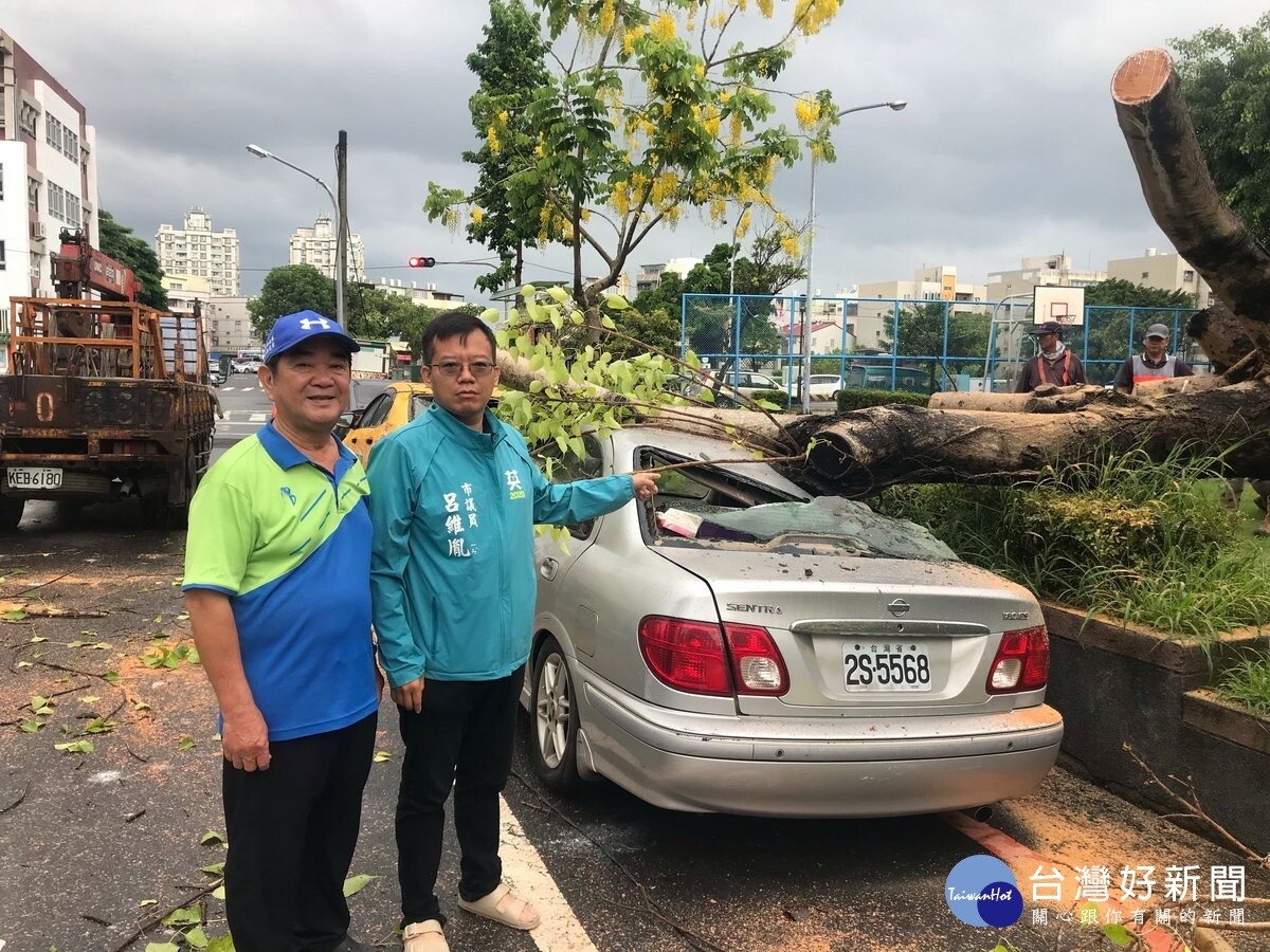 又是菩提樹倒塌壓毀民車　南市議員要求路樹總體檢