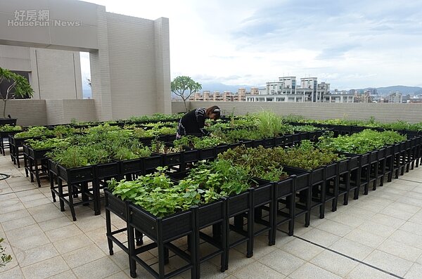 疫情影響民眾看屋走向,不少建商主打「高綠覆率」環境。照片鄉林集團提供