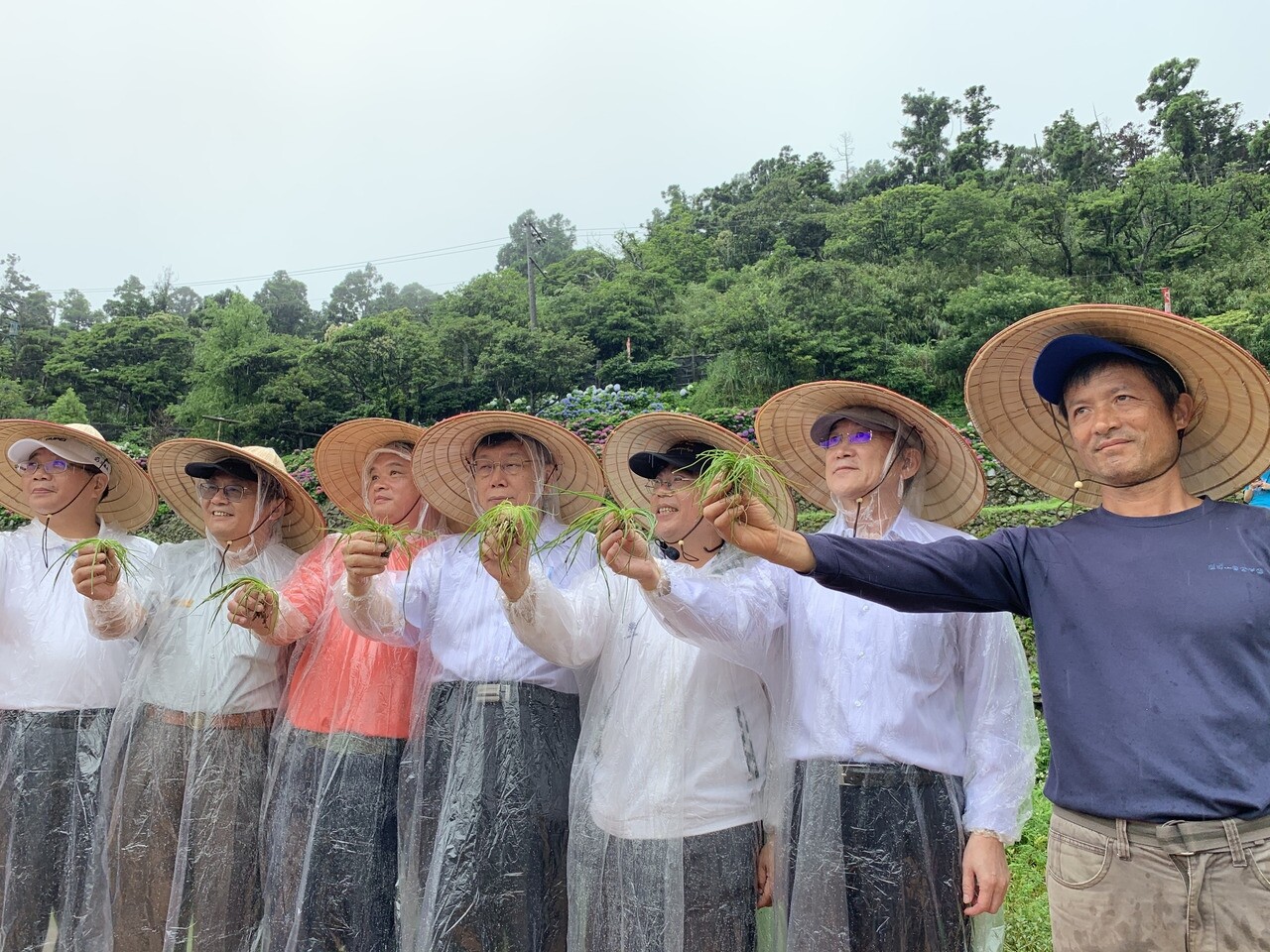 台北市長柯文哲（中）昨體驗台灣水韭復育。記者趙宥寧／攝影