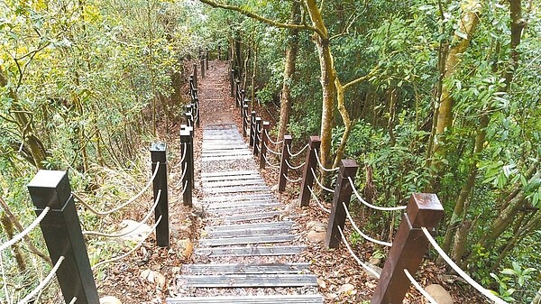 台中大坑5號步道今年4月底整修完成後,已大幅提升行走舒適度及安全性。圖/中市觀旅局提供