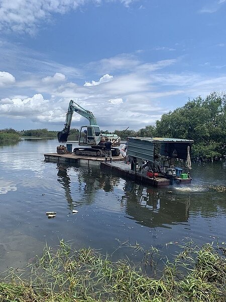 屏東縣政府啟動移除外來入侵種埃及聖䴉。圖／屏東縣農業處提供
