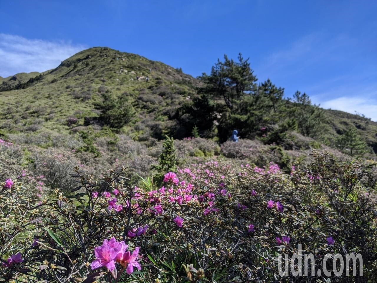 今明兩天台灣都在暖氣團內，天氣晴朗、炎熱如夏。記者楊德宜／攝影