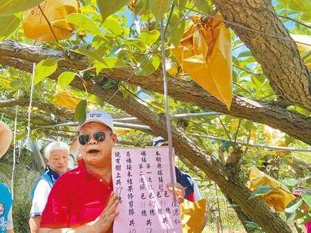 苗栗縣大湖、卓蘭未獲得梨穗補助，農民自製看板統計補嫁接次數及穗數，盼獲得勘查小組重視。（巫靜婷攝）