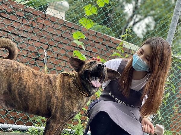 許多愛心志工會到動物之家參加志願服務。圖/新北動保處提供