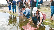 基隆漁村小旅行　賞生態、海染布