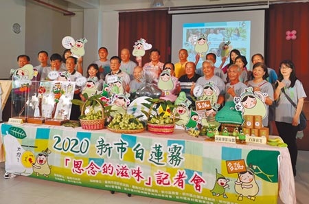 台南新市區公所10日發表白蓮霧「思念的滋味」宣傳片，邀地方人士一起來觀賞。（劉秀芬攝）
