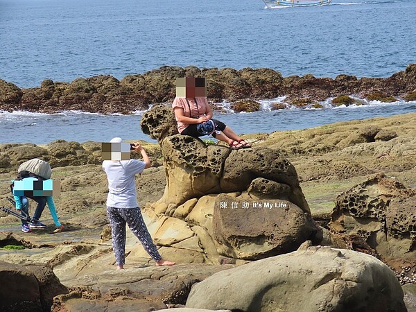 「大媽別坐在海豹上拍照好嗎」,八斗美景保育人士心痛。圖/陳信助提供