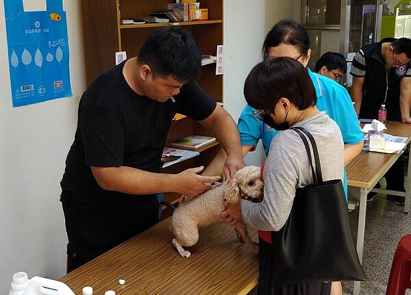 北市山區鄰里家犬貓狂犬病疫苗注射開跑。圖／北市動保處提供