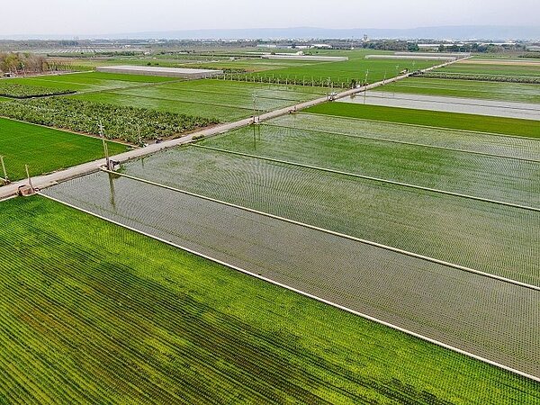 彰化縣農地重劃區抵費地及零星集中土地標售。圖/彰化縣政府地政處提供