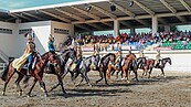 招商有成！后里馬場、花舞館打造馬術體驗園區