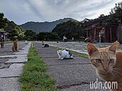 今天是近兩周最熱一天！　彭啟明：周六晚鋒面接近