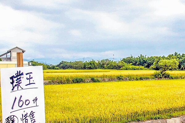 台知園區爭論20多年，能否開發仍充滿變數。（羅浚濱攝）