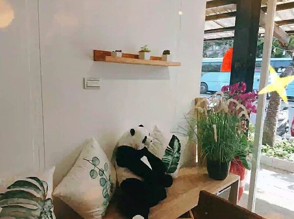 士林區一起喫樹食。圖／永慶房產集團提供