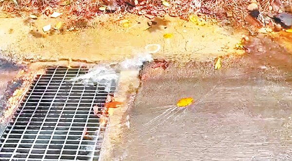 民眾感嘆,多次通報自來水破管情事,卻等無人修。(摘自臉書社團/黃婉婷桃園傳真)