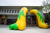 體育館長腳了！15公尺「巨獸」現身新竹多個景點