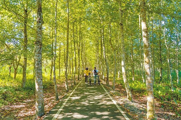台糖全台有1萬公頃的造林地，因為要推動農電共生，遭指砍樹種電，台糖董事長陳昭義強調林相優良的都會保留，圖為台糖造林的大農大富平地森林園區。（台糖提供）