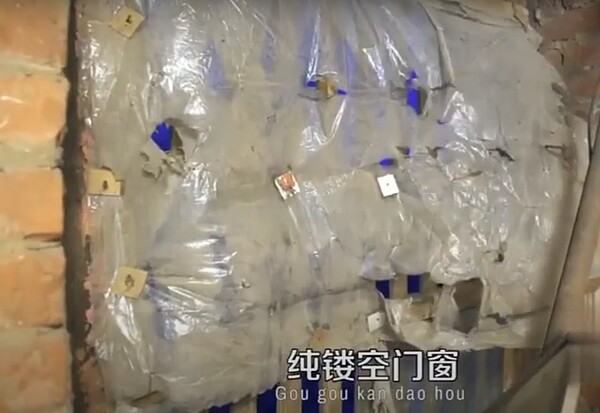 圖/截自網路