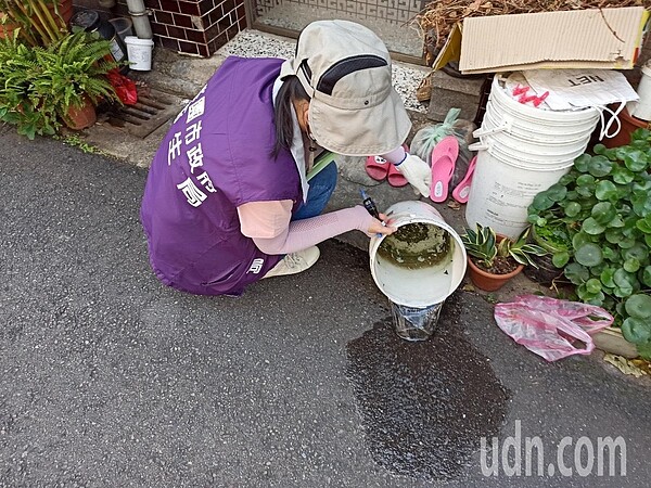 桃園市一名居住八德區的50歲男性昨天確診登革熱,目前桃園累計已有17例,由於該男子為竹筍批發商,頻繁往來新北及桃園,兩縣市已聯手加強邊界防治。圖/桃園市政府衛生局提供