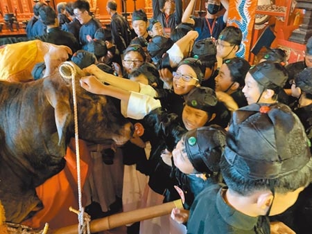 台南孔廟28日清晨舉行祭孔儀式，同時復辦「拔智慧毛」活動，吸引許多學生爭拔毛、求智慧。（李宜杰攝）