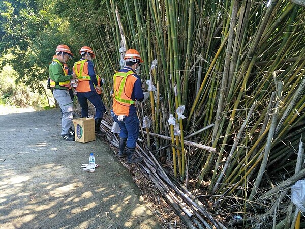 新北三峽區五寮里傳出登革熱疫情，1日新增2例本土登革熱病例，清潔隊員進入五寮社區及筍園進行環境大清理。圖／新北衛生局提供