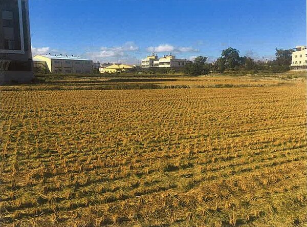 台中市政府農業局呼籲農友以稻草剪段翻耕取代露天燃燒,維護空氣品質,還可增加土壤肥力,促進作物生長。圖/台中市政府提供