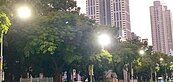 高市換智能路燈　故障通報增逾26%