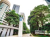 忠泰旗下明日選品　首度插旗台中草悟道