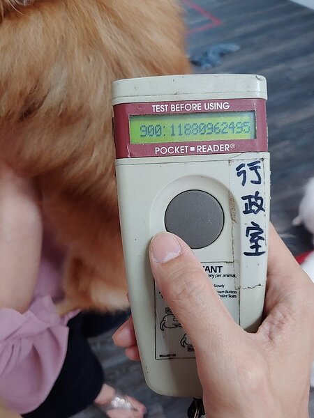 犬貓皆應完成晶片登記。圖／新北市政府提供