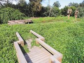 金門榮湖人工溼地　雜草淹沒生態池