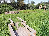 金門榮湖人工溼地　雜草淹沒生態池