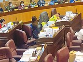 青埔月底辦「萬聖城」　議員諷媚外刪預算