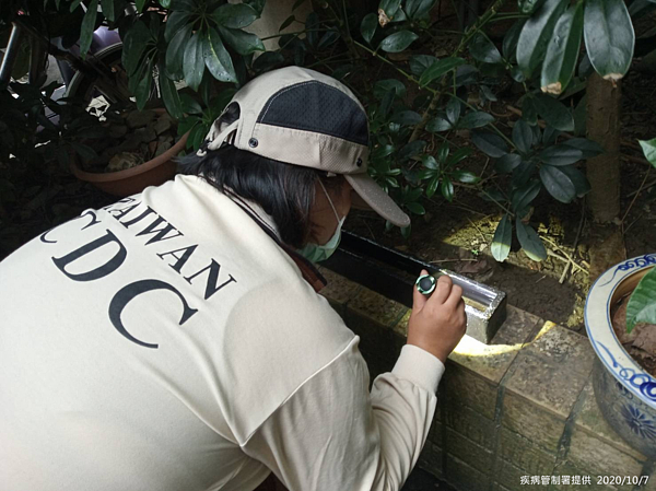疾管署防疫人員於新北市蘆洲區保和里本土登革熱個案住家周邊進行孳生源查核。圖／疾病管制署提供