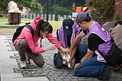 憂棄貓成防疫破口　猴硐貓村棄養將重罰