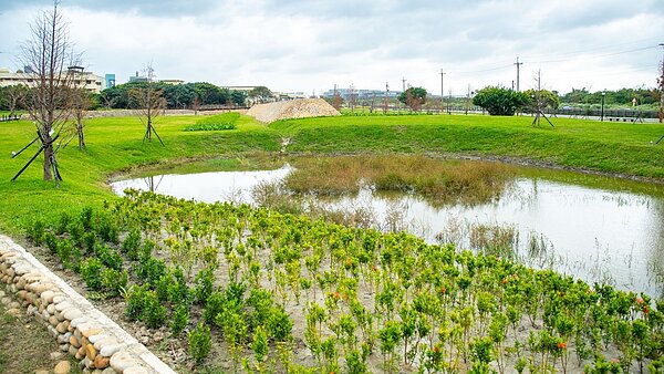 海湖運動森林公園建置2處具有防災滯洪功能的景觀池。桃園市政府提供