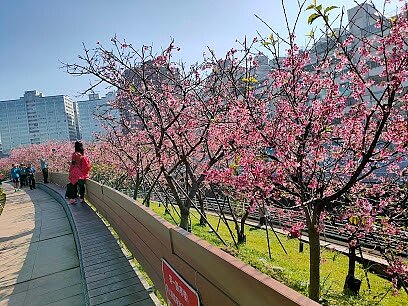 臺北市政府工務局新建工程處檢視評估後,擇定了康樂街路段,辦理路面更新作業。(圖/截自Google Map)