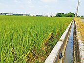 農友籲政府依法定順序供農用水